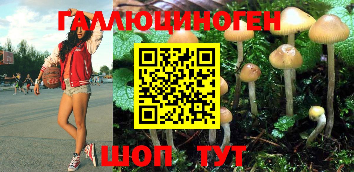Псилоцибиновые грибы ЛСД Холмск